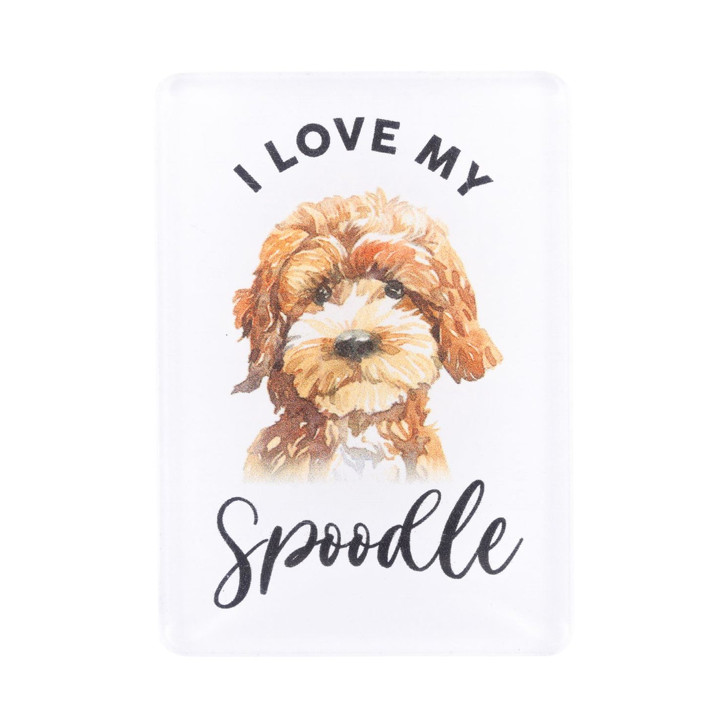 Pet Lovers Acrylic Magnet - Spoodle