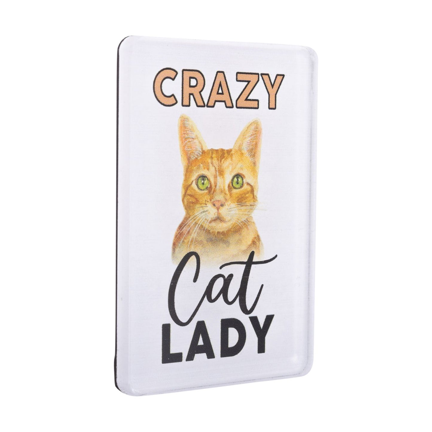 Pet Lovers Acrylic Magnet - Crazy Cat Lady