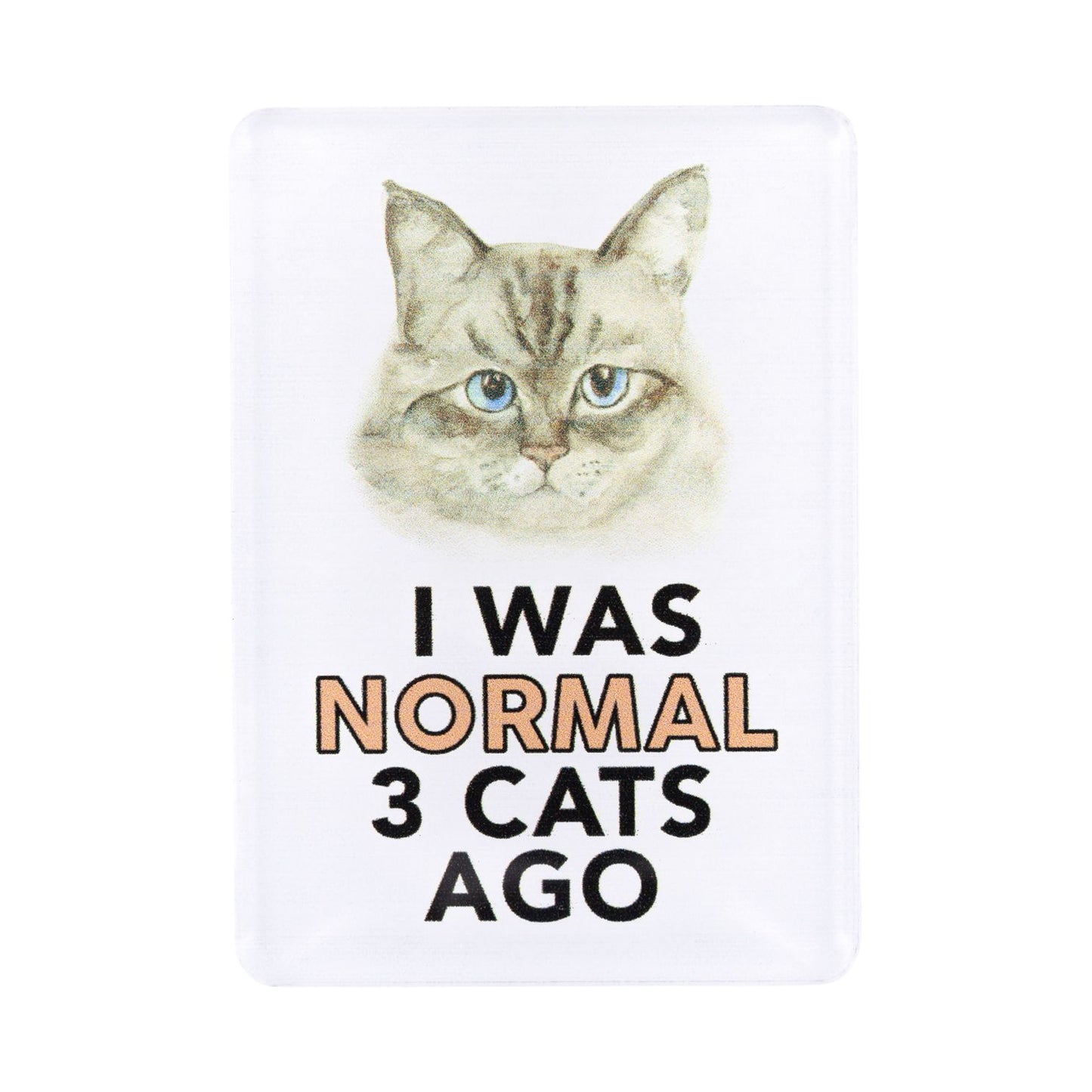 Pet Lovers Acrylic Magnet - Normal 3 Cats Ago