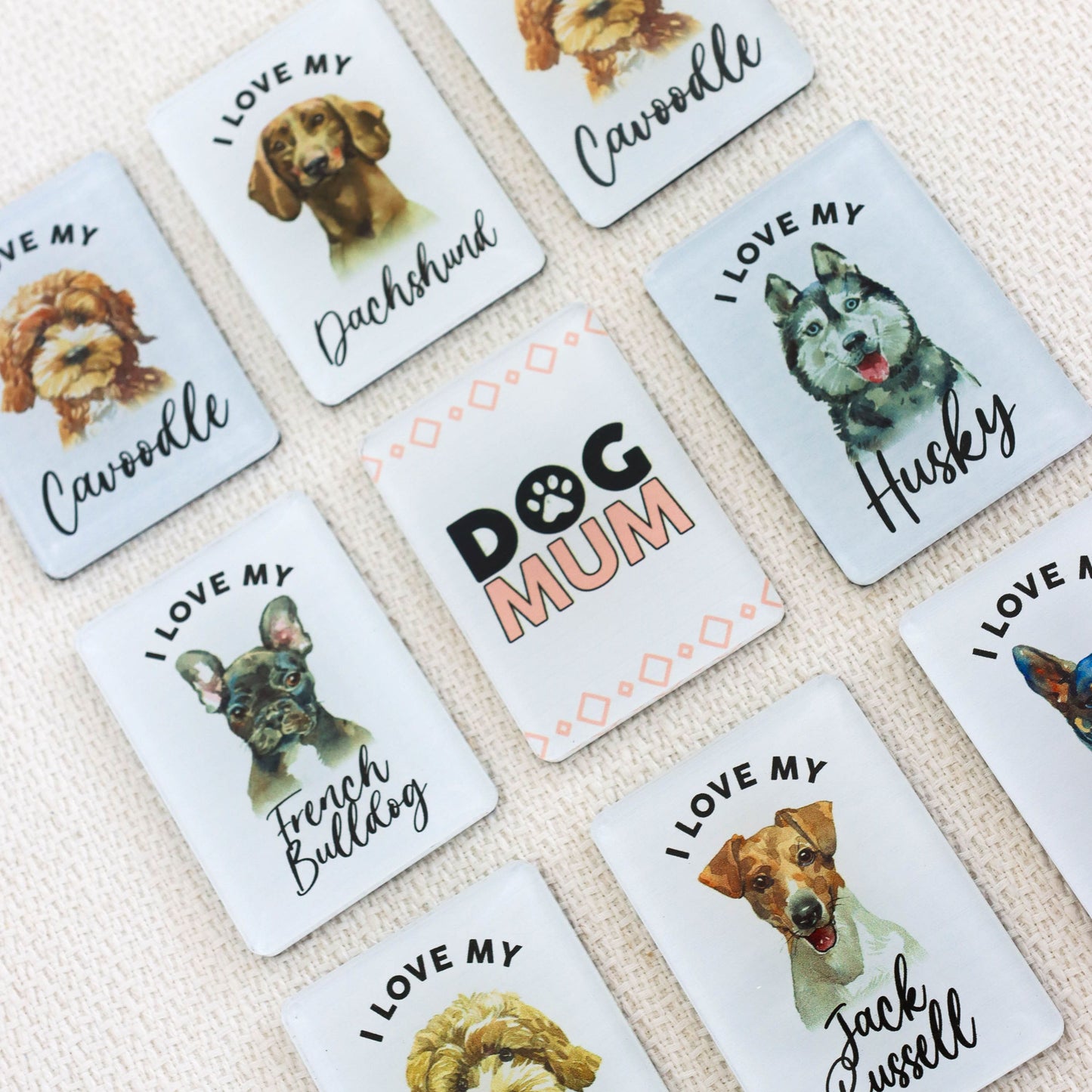Pet Lovers Acrylic Magnet - Cavoodle
