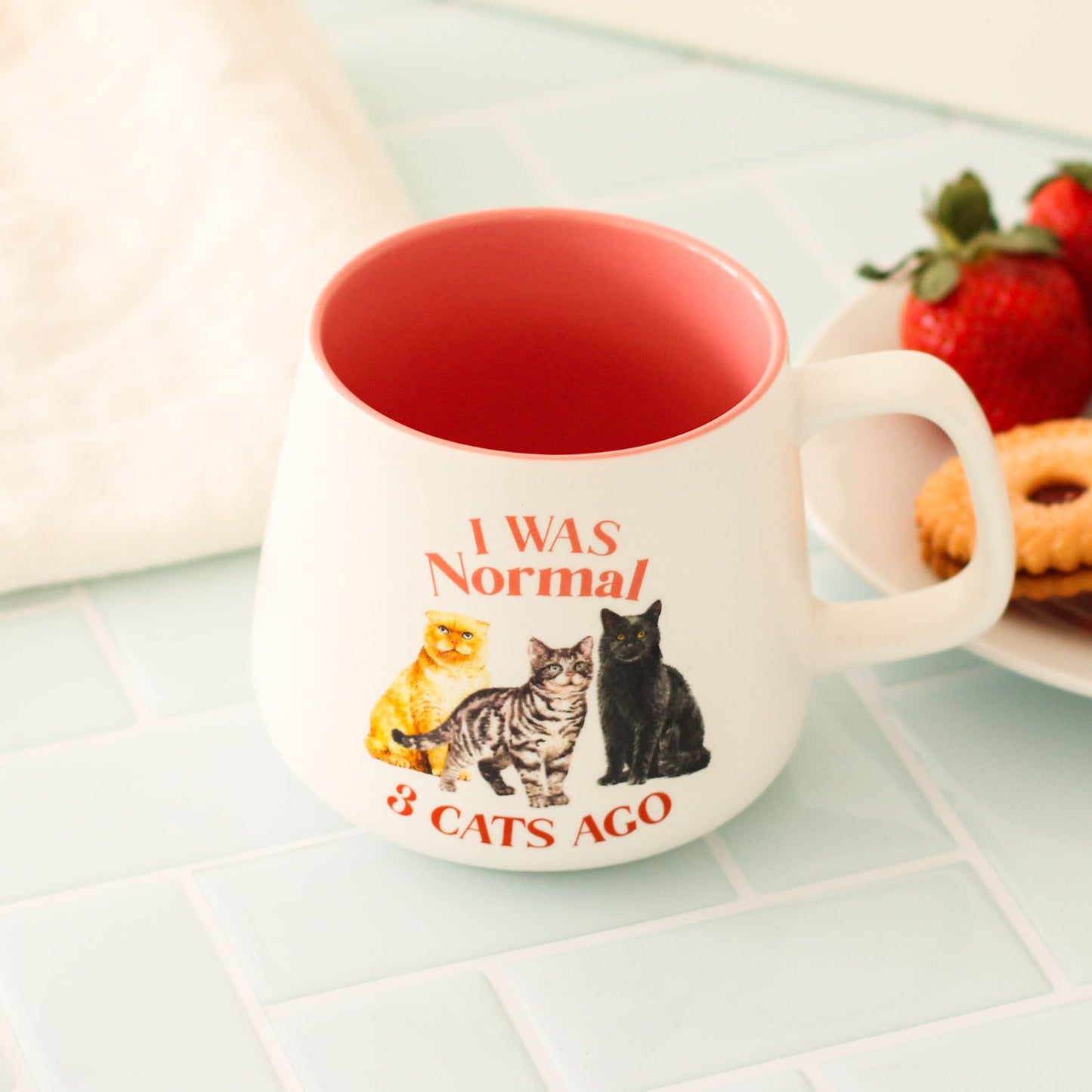 I Was Normal 3 Cats Ago Mug