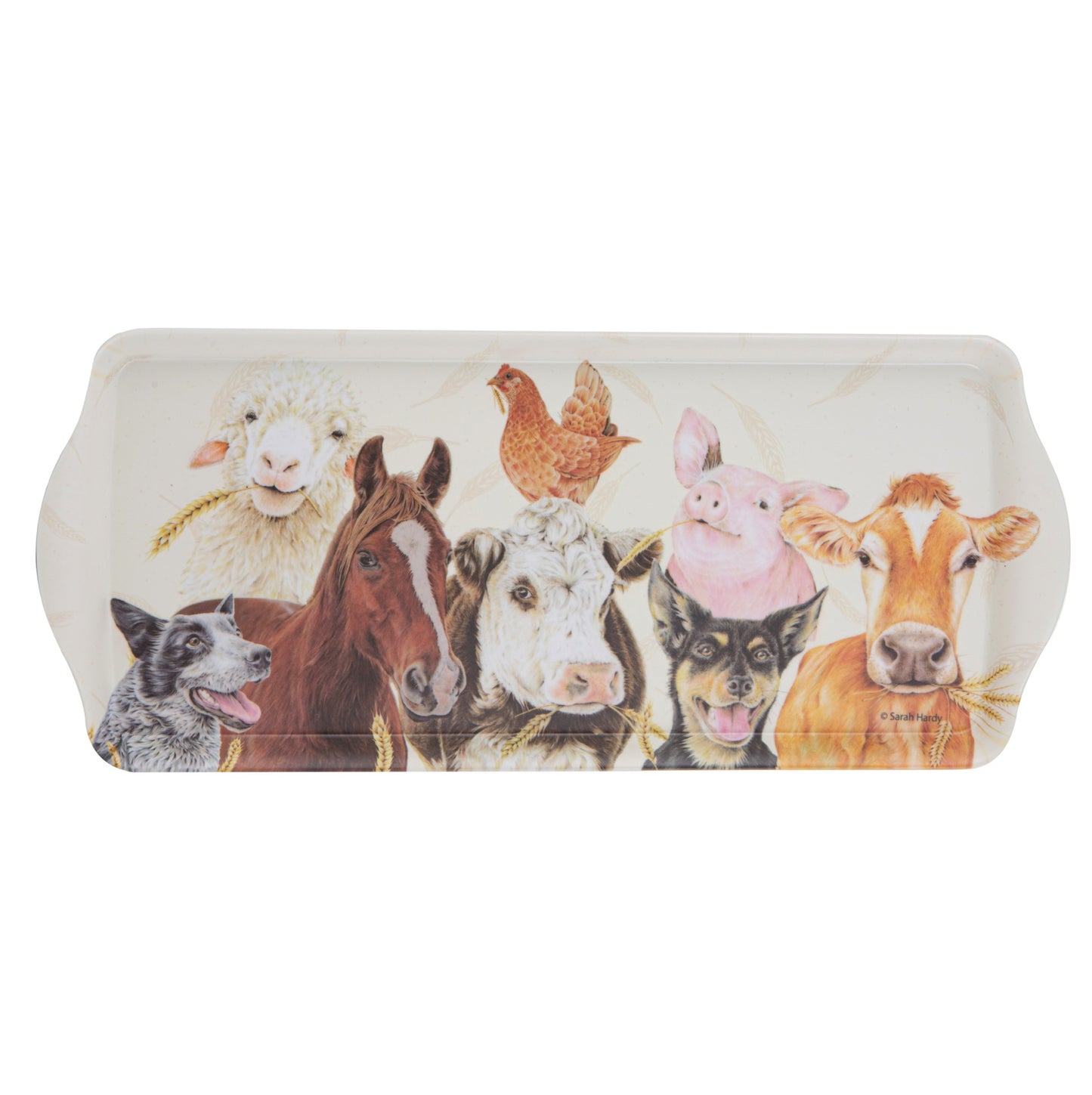 Farmyard Faces - Sandwich Tray