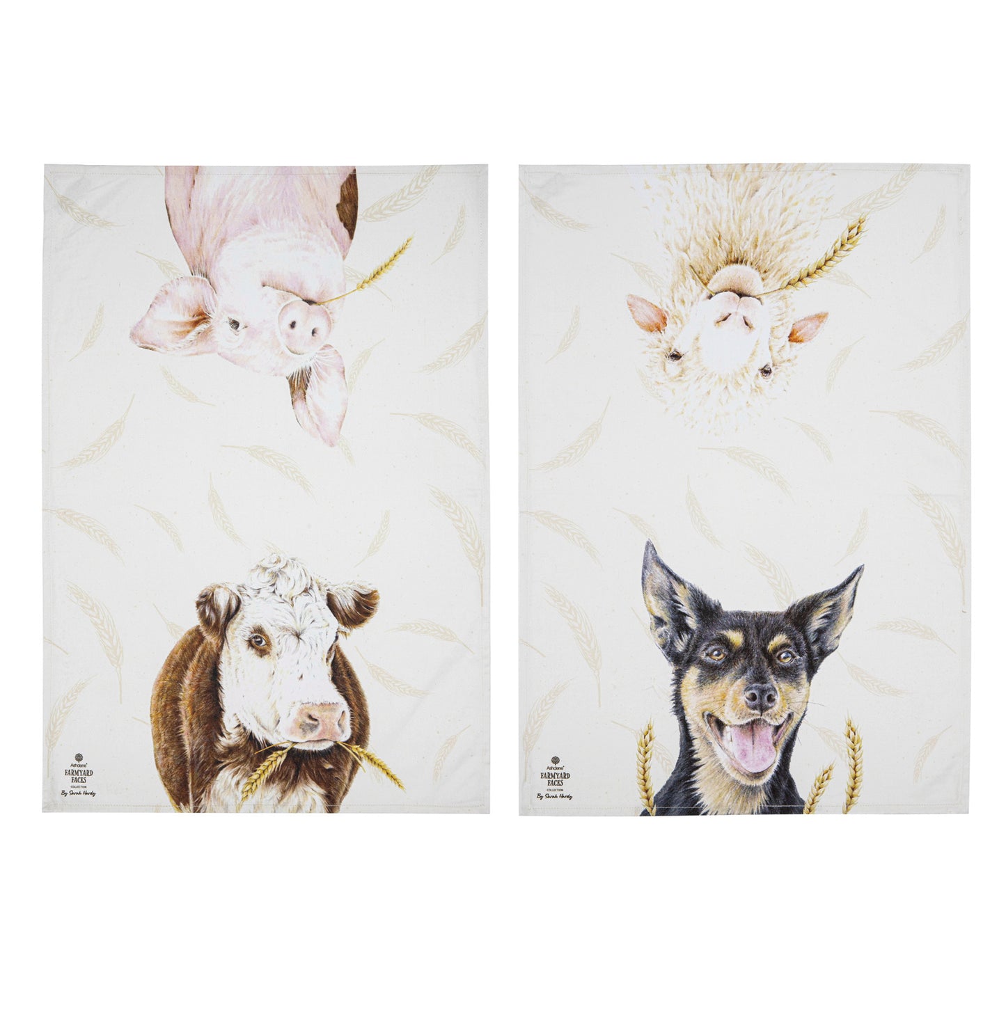 Farmyard Faces - Kitchen Towel 2PK (Pig, Sheep, Cow & Kelpie)
