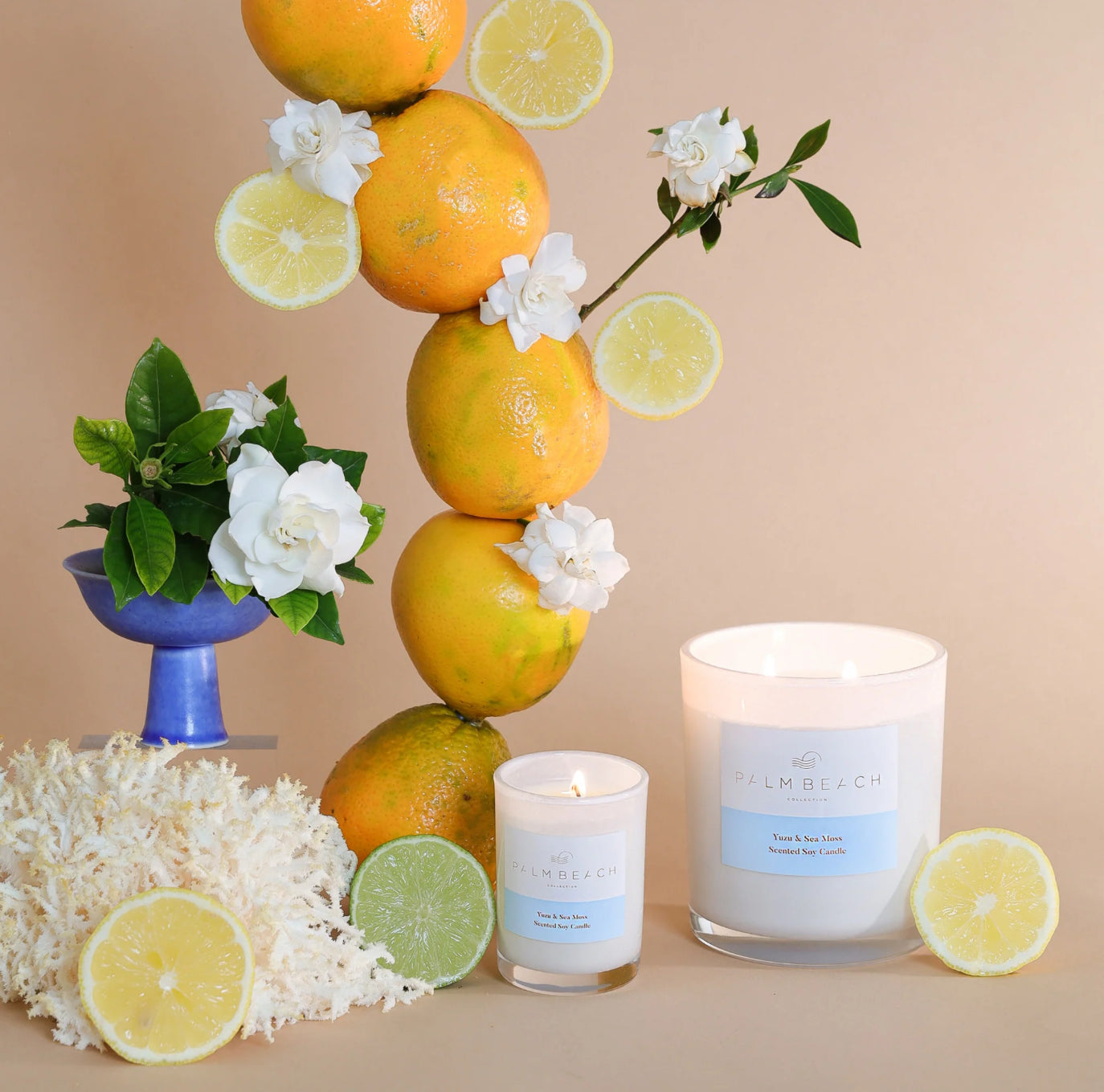 Standard Candle 420g - Yuzu & Sea Moss
