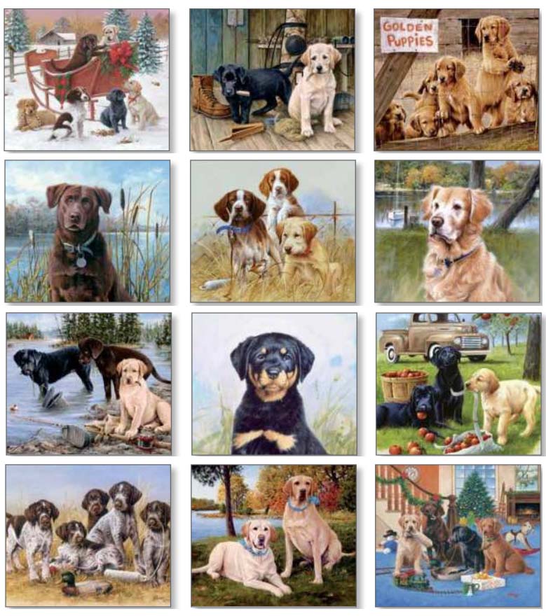Pine Ridge 2026 Calendar - Must Love Dogs