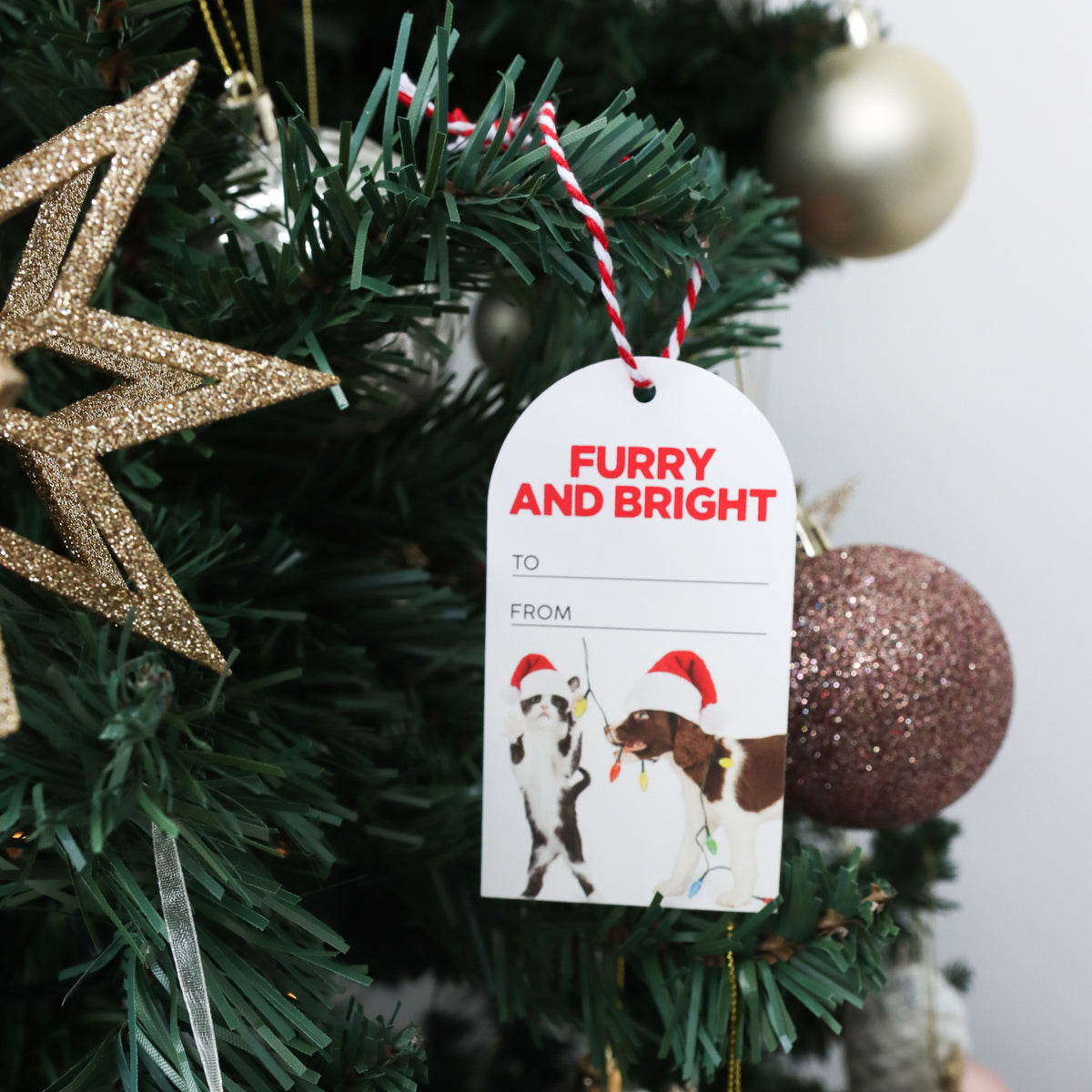 Christmas Furry & Bright Set Of 6 Gift Tags