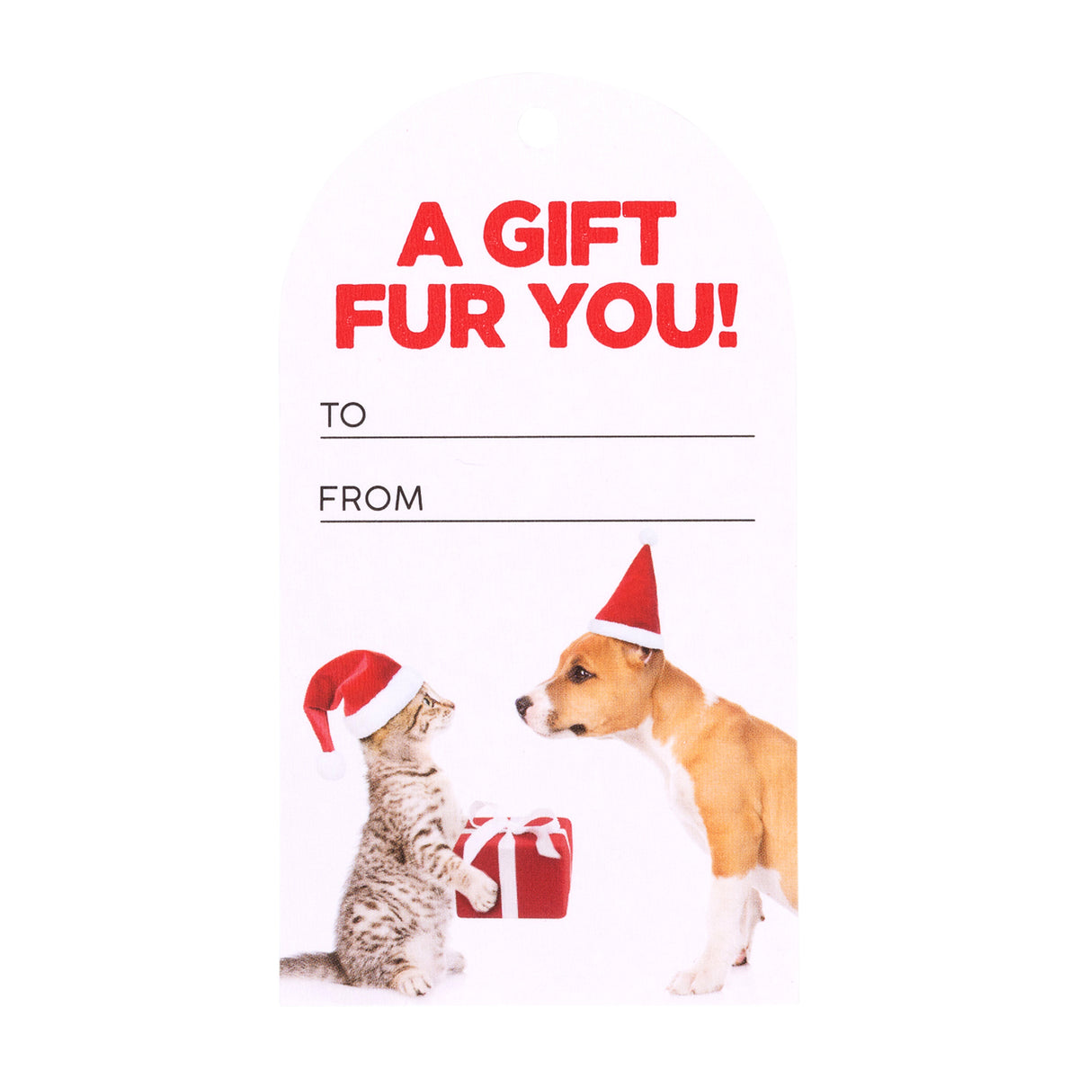 Christmas Gift Fur You Set Of 6 Gift Tags