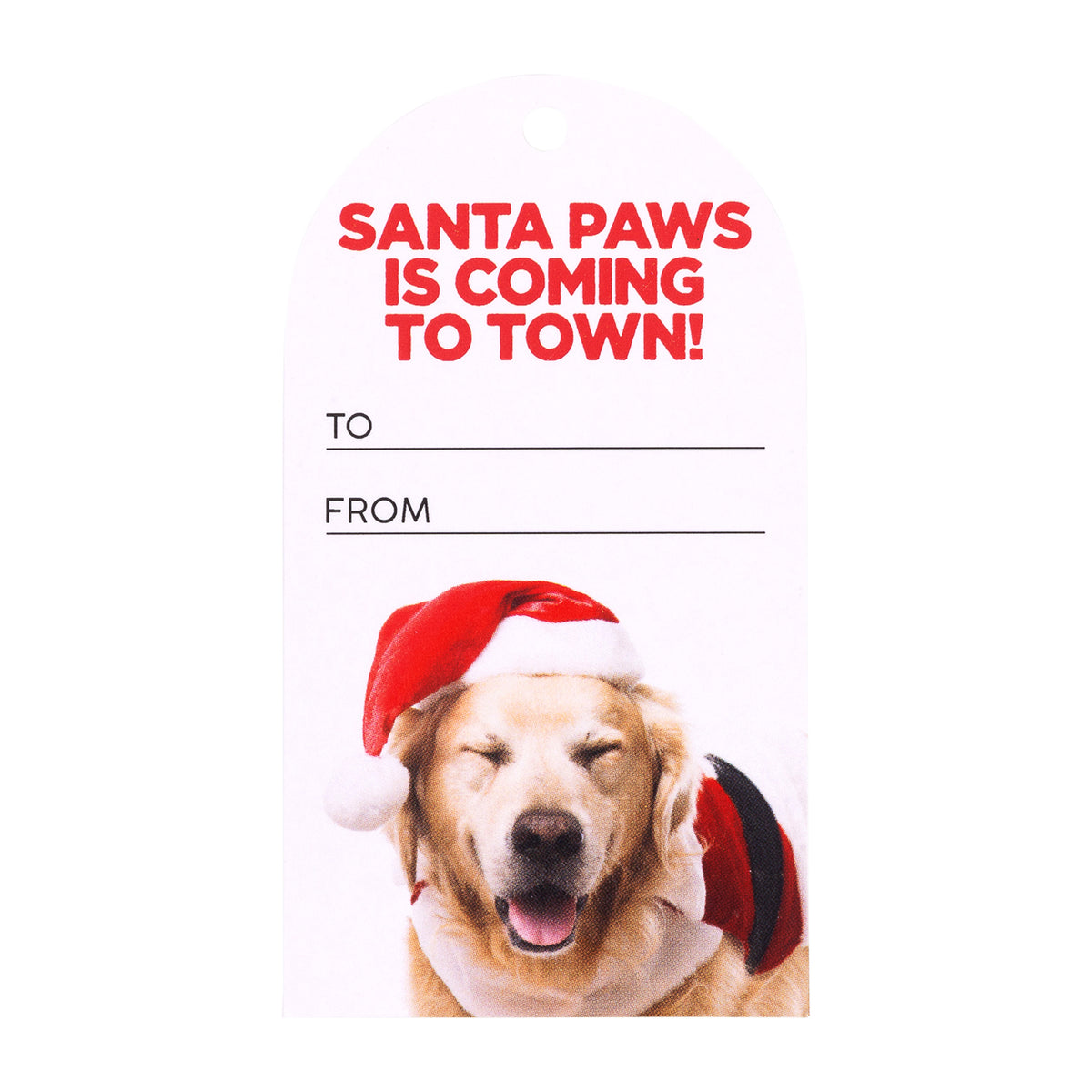 Christmas Santa Paws is Coming to Town Set Of 6 Gift Tags