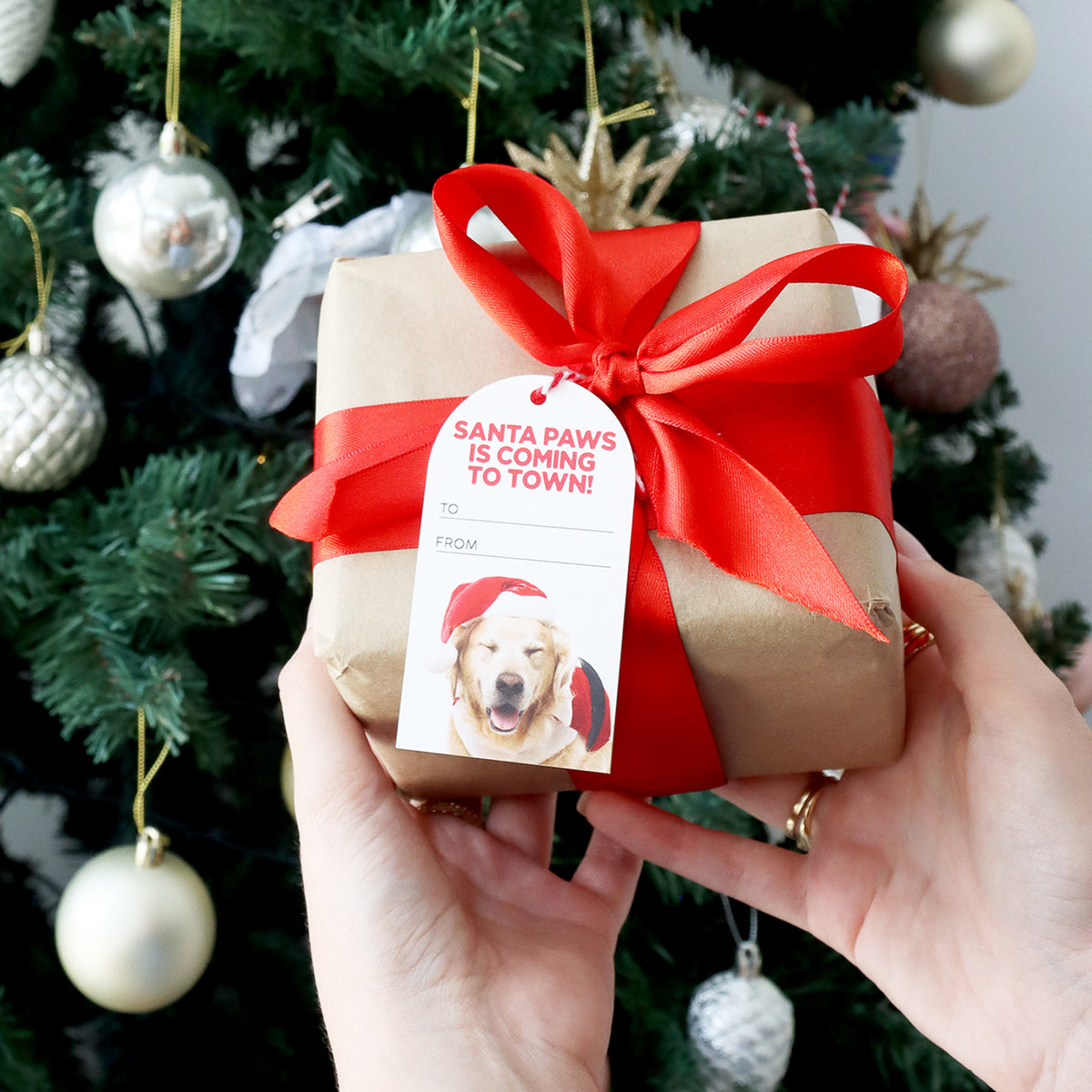 Christmas Santa Paws is Coming to Town Set Of 6 Gift Tags