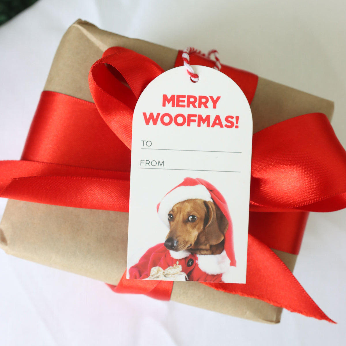 Christmas Merry Woofmas Set Of 6 Gift Tags
