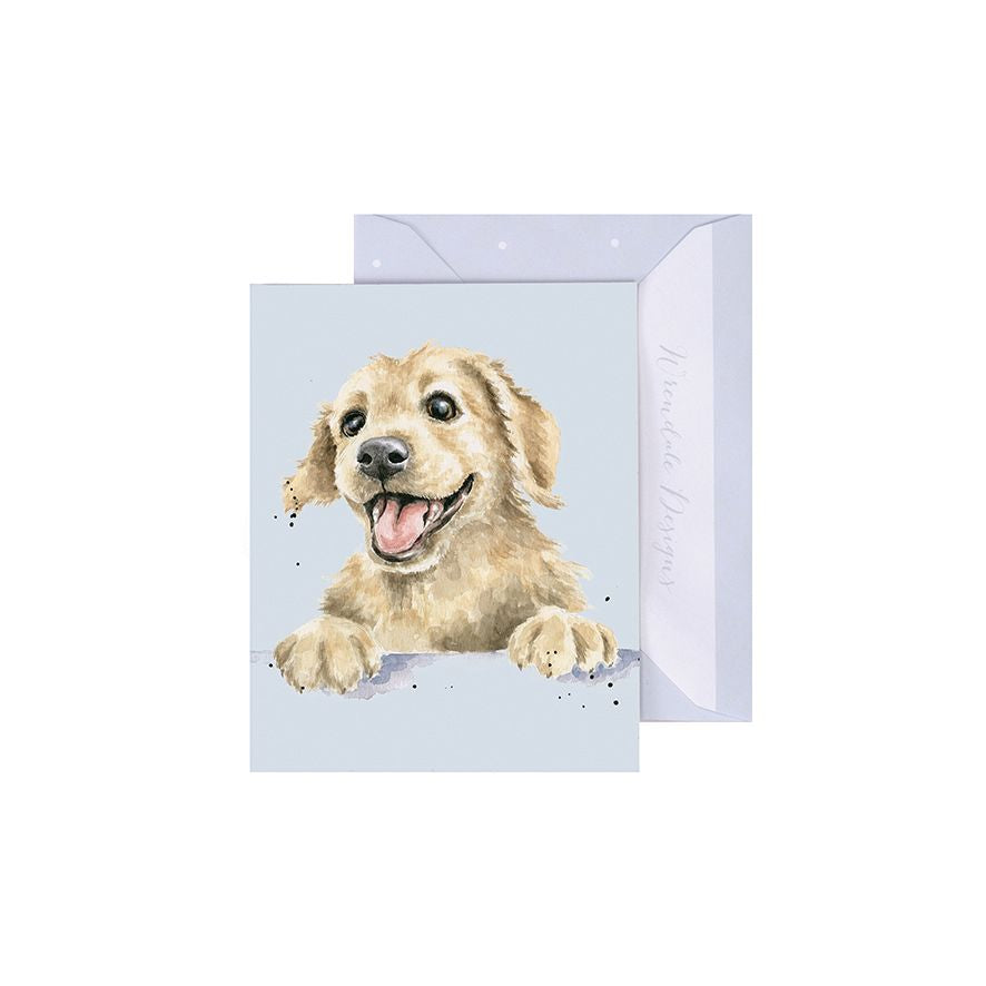 Wrendale Designs Mini Gift Card - Golden Boy (Dog)