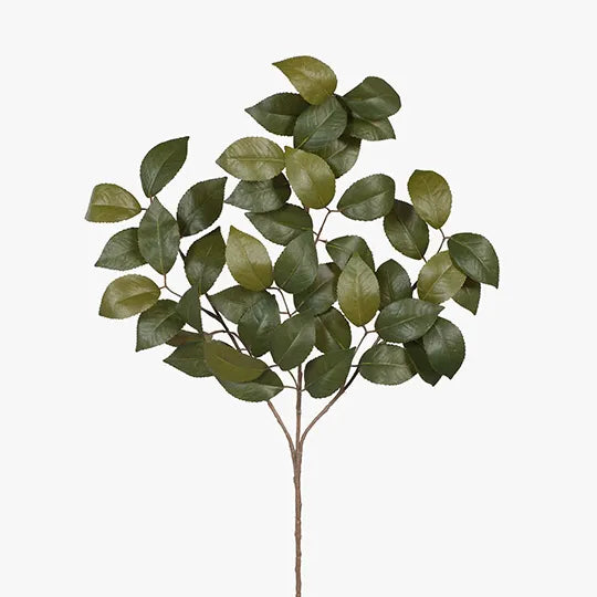 Camellia Leaf Spray