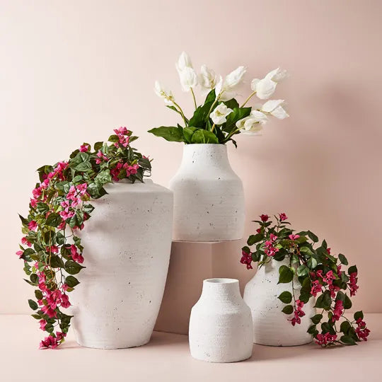 Bougainvillea Hanging Bush - Fuschia