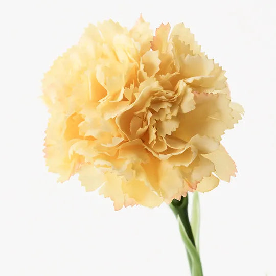Carnation - Yellow 47cm