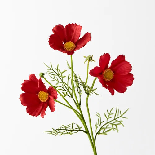 Cosmos Spray - Red 50cm