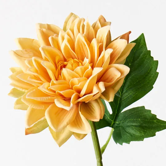 Dahlia - Yellow 54cm