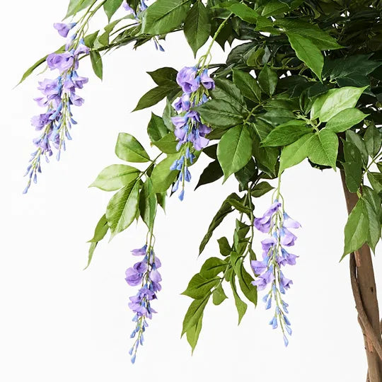 Wisteria Tree - Purple 190cm