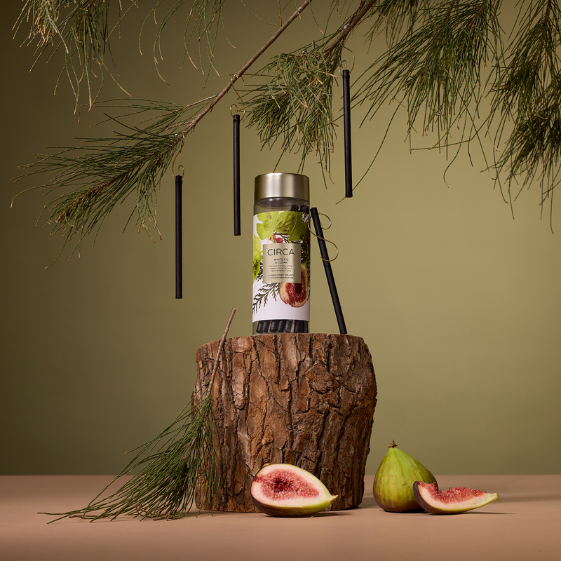 CIRCA Christmas Tree Scent Stems - White Fig & Cedar