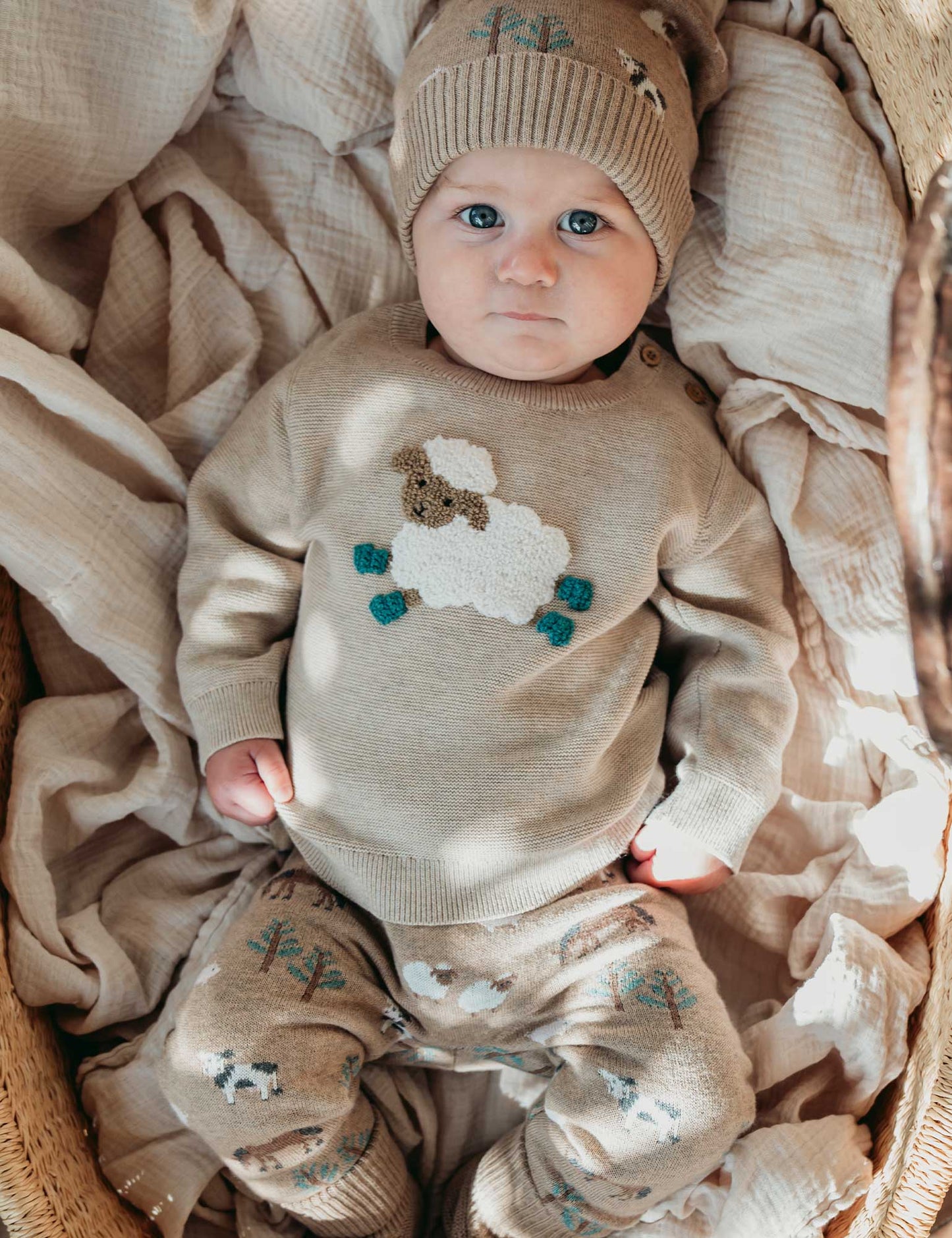 Sheep Jumper