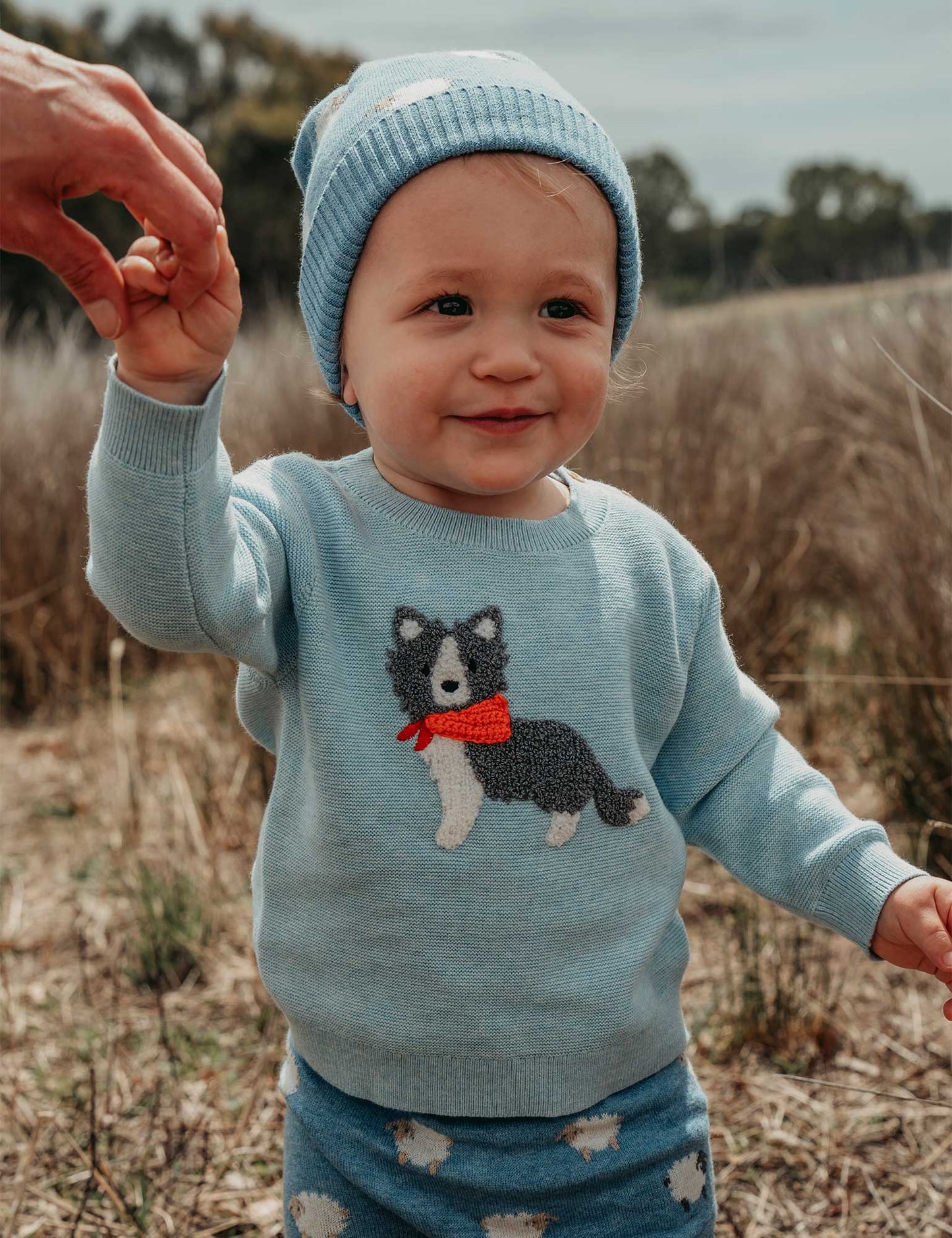 Sheep Dog Jumper