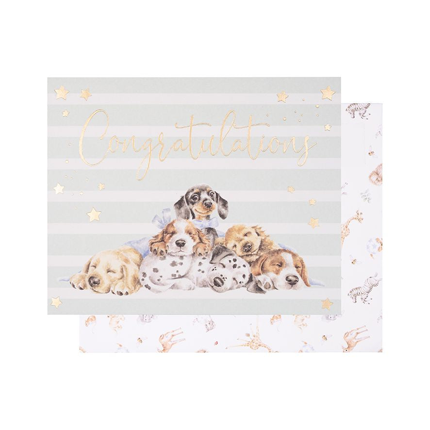 Wrendale Designs Card - Congratulations (Little Paws)
