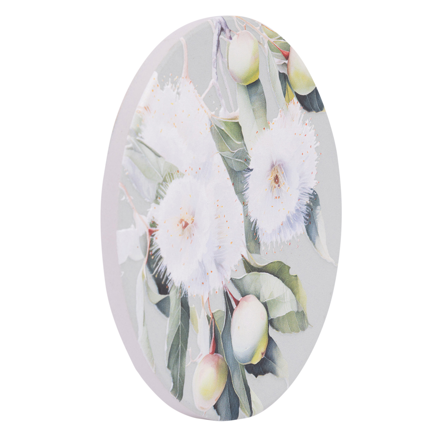 Native Blooms - Gumnuts Ceramic Coaster