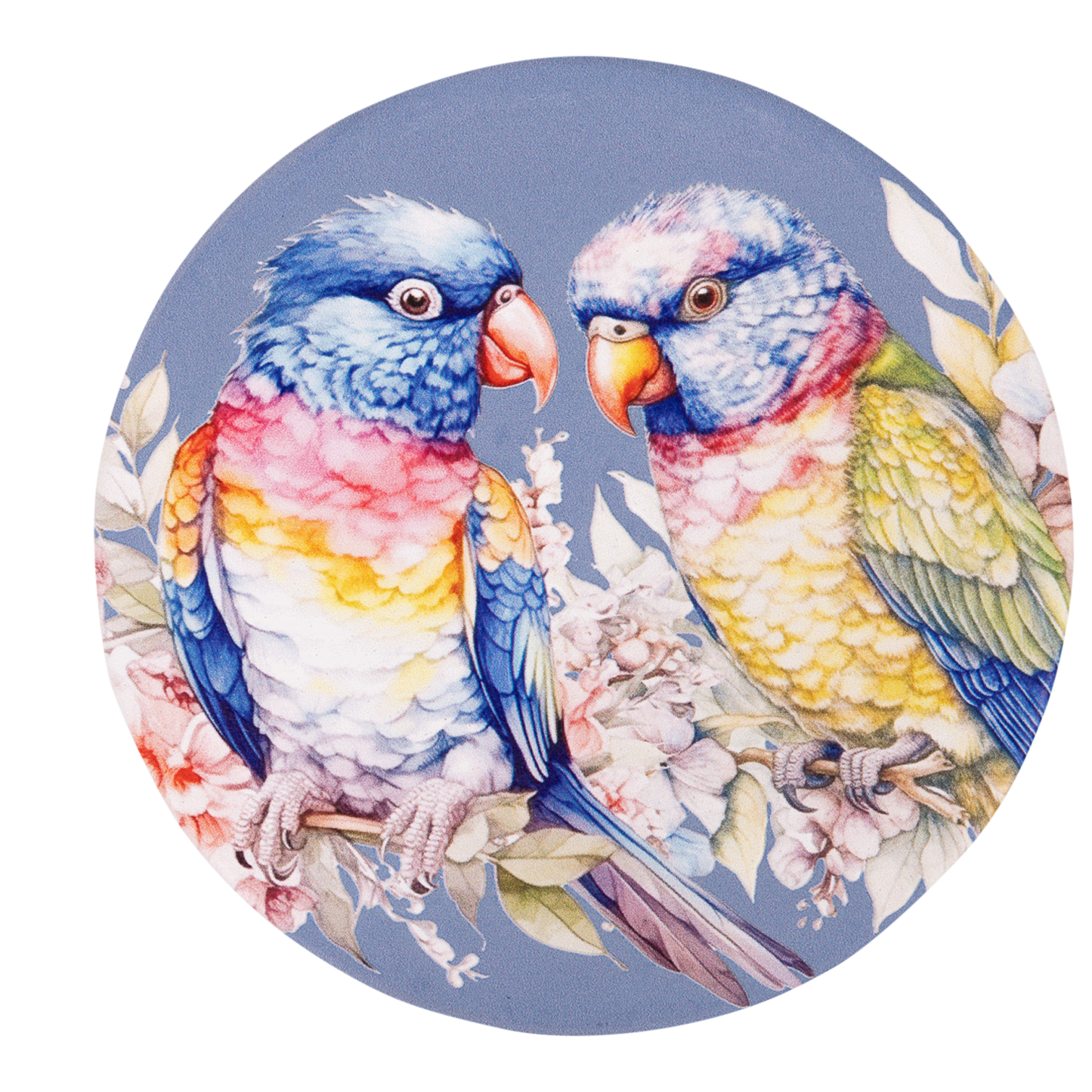 Native Blooms - Lorikeets Ceramic Coaster