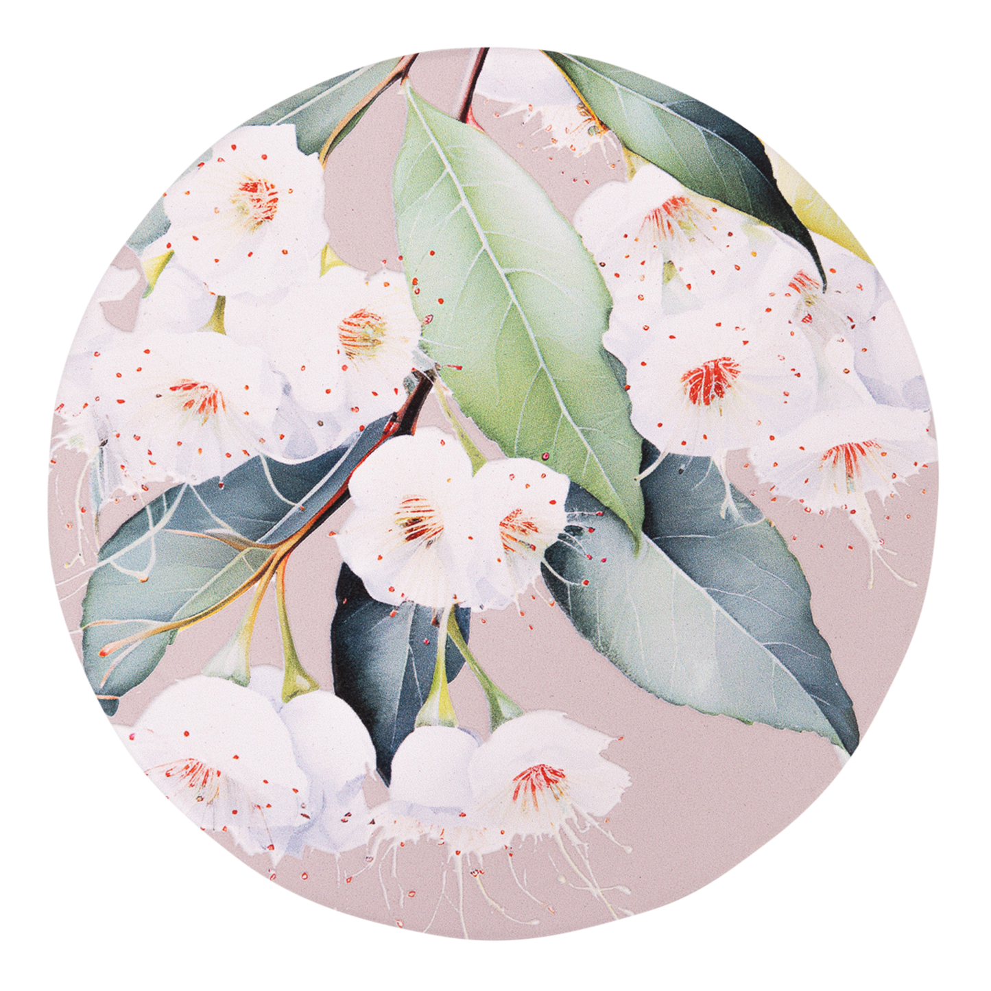 Native Blooms - White Floral Ceramic Coaster