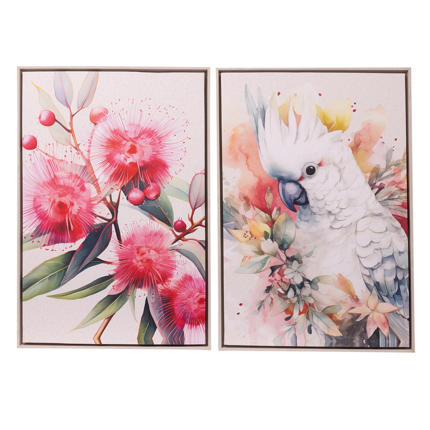 Native Blooms - Cockatoo Framed Canvas
