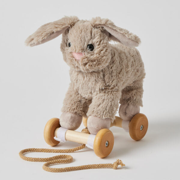 Bunny Plush Pull Along Toy