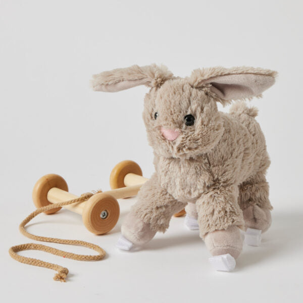 Bunny Plush Pull Along Toy