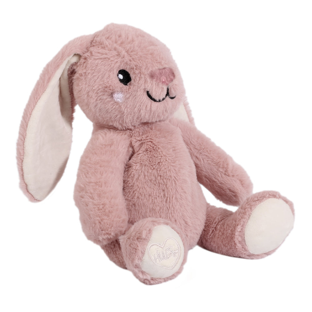 Toasty Hugs - Blossom Bunny