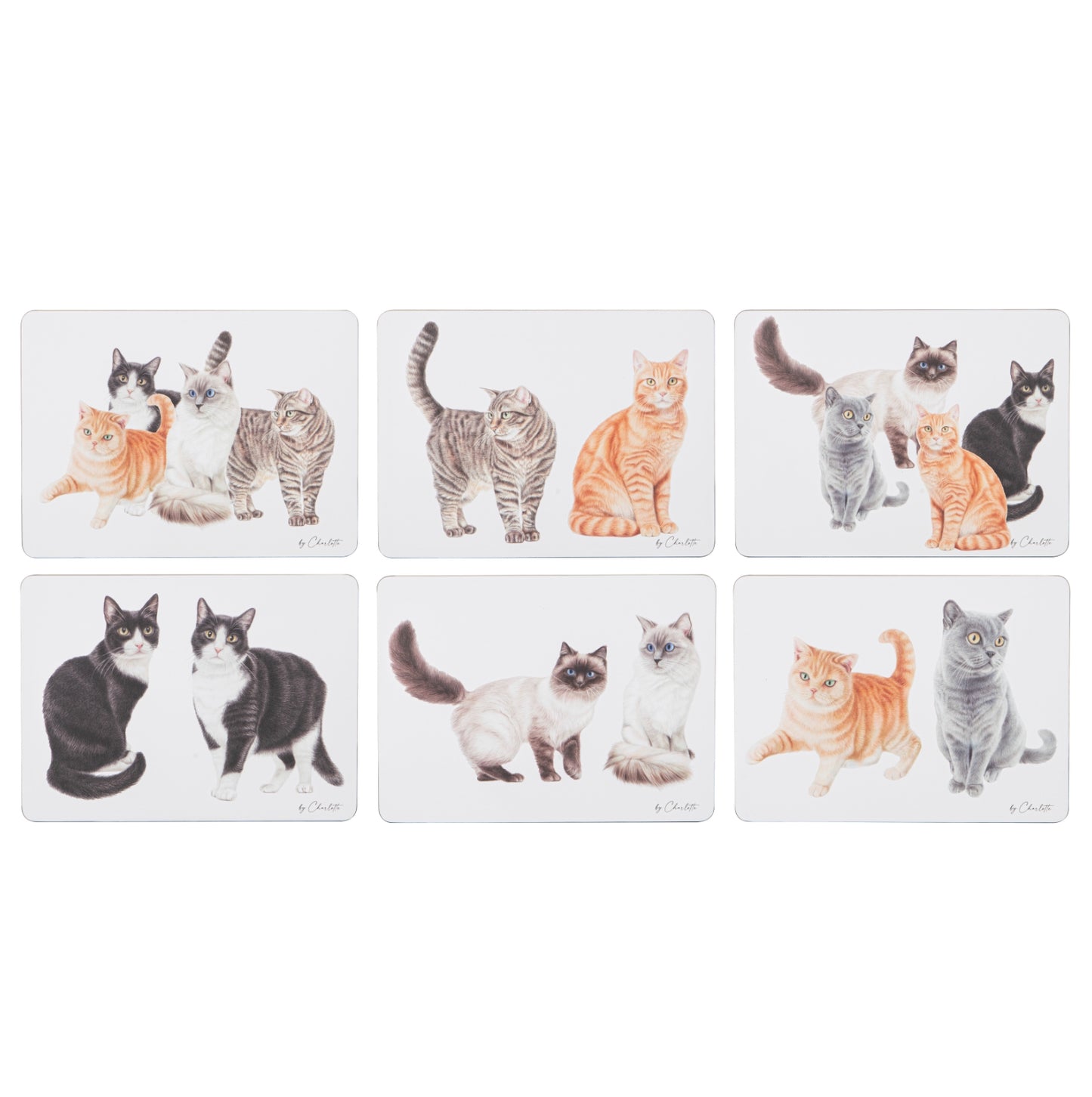 Purrrfect Moments - Placemat 6PK