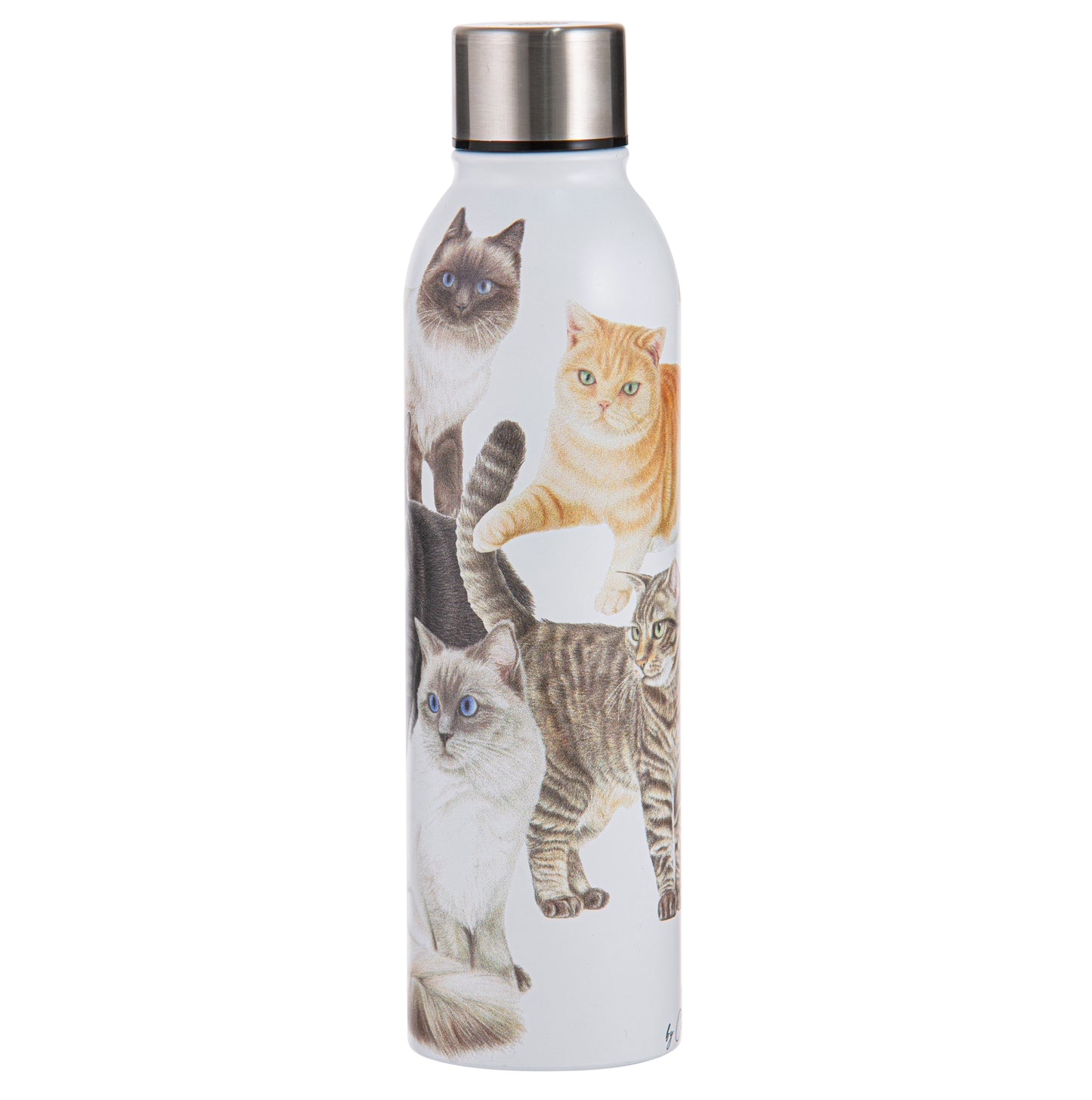 Purrrfect Moments - Drink Bottle