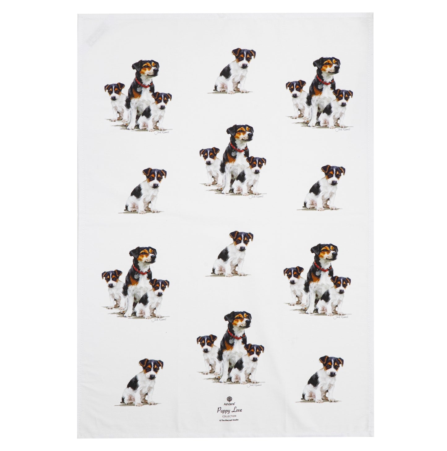 Puppy Love - Jack Russell Kitchen Towel (2PK)