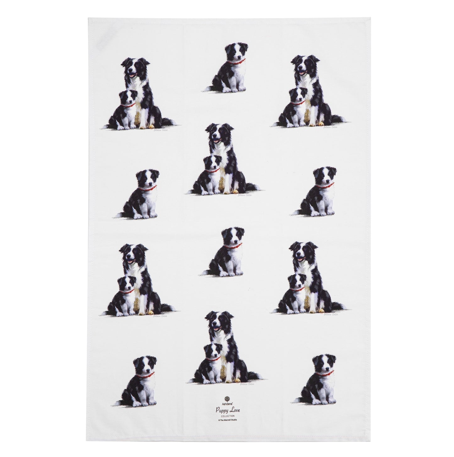 Puppy Love - Border Collie Kitchen Towel (2PK)