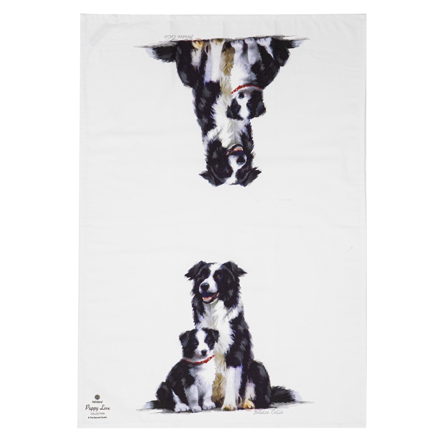 Puppy Love - Border Collie Kitchen Towel (2PK)