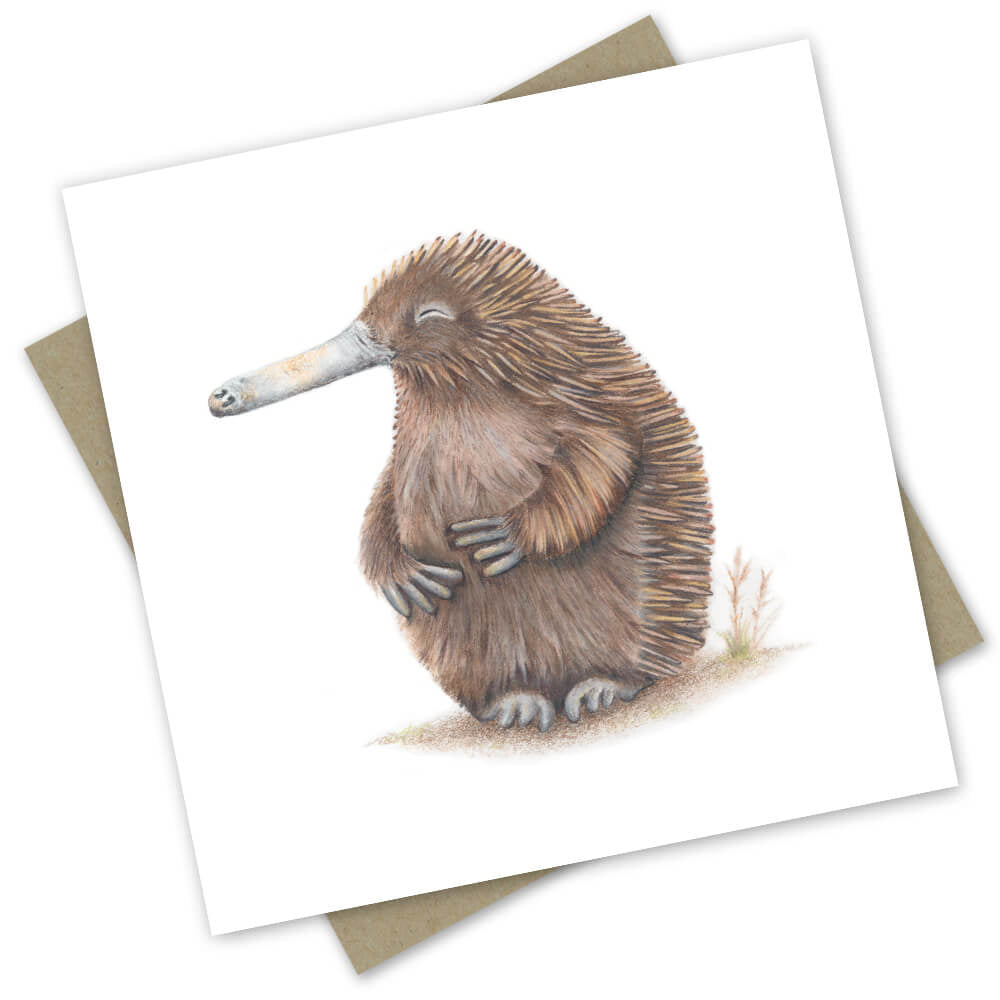 Card - Australian Collection: Hungry Echidna