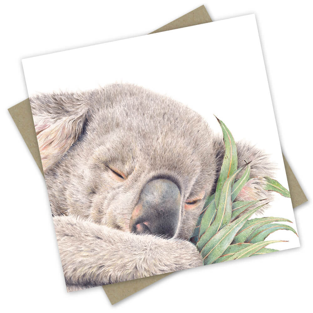 Card - Australian Collection: “Sleepy Rengo” the Rescue Koala
