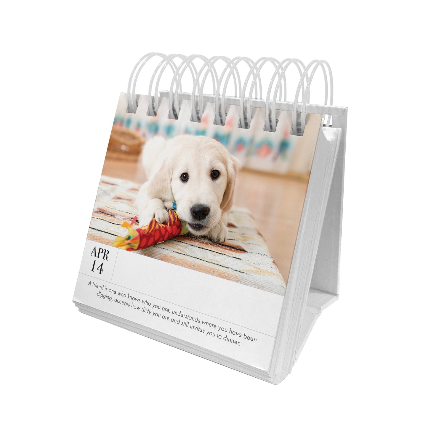 Animal 365 Day Calendar - Puppy