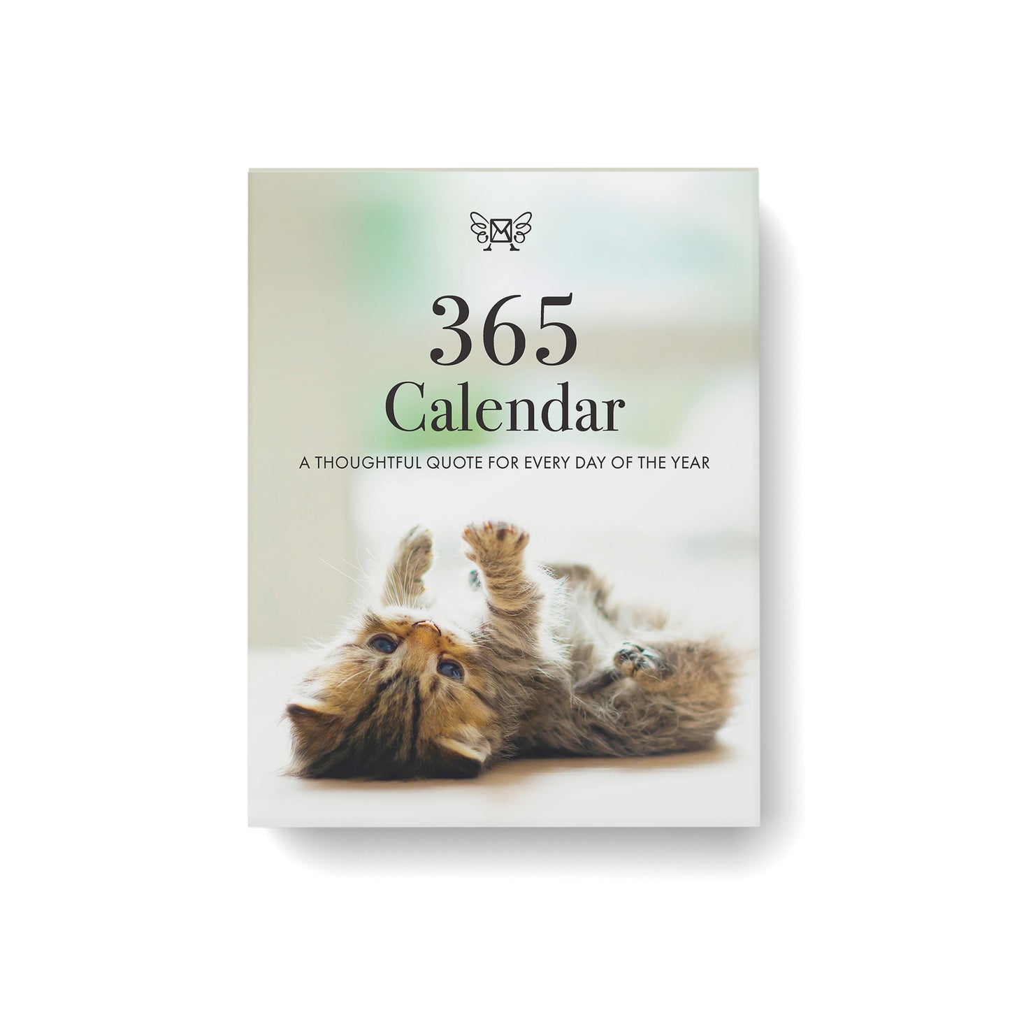 Animal 365 Day Calendar - Kitten