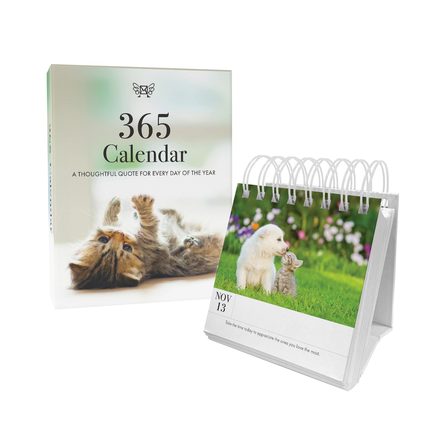 Animal 365 Day Calendar - Kitten