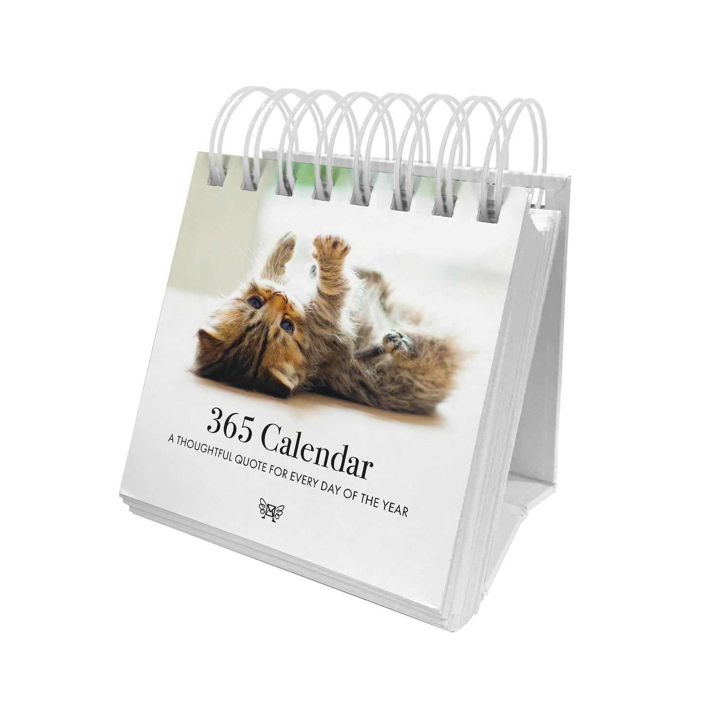 Animal 365 Day Calendar - Kitten