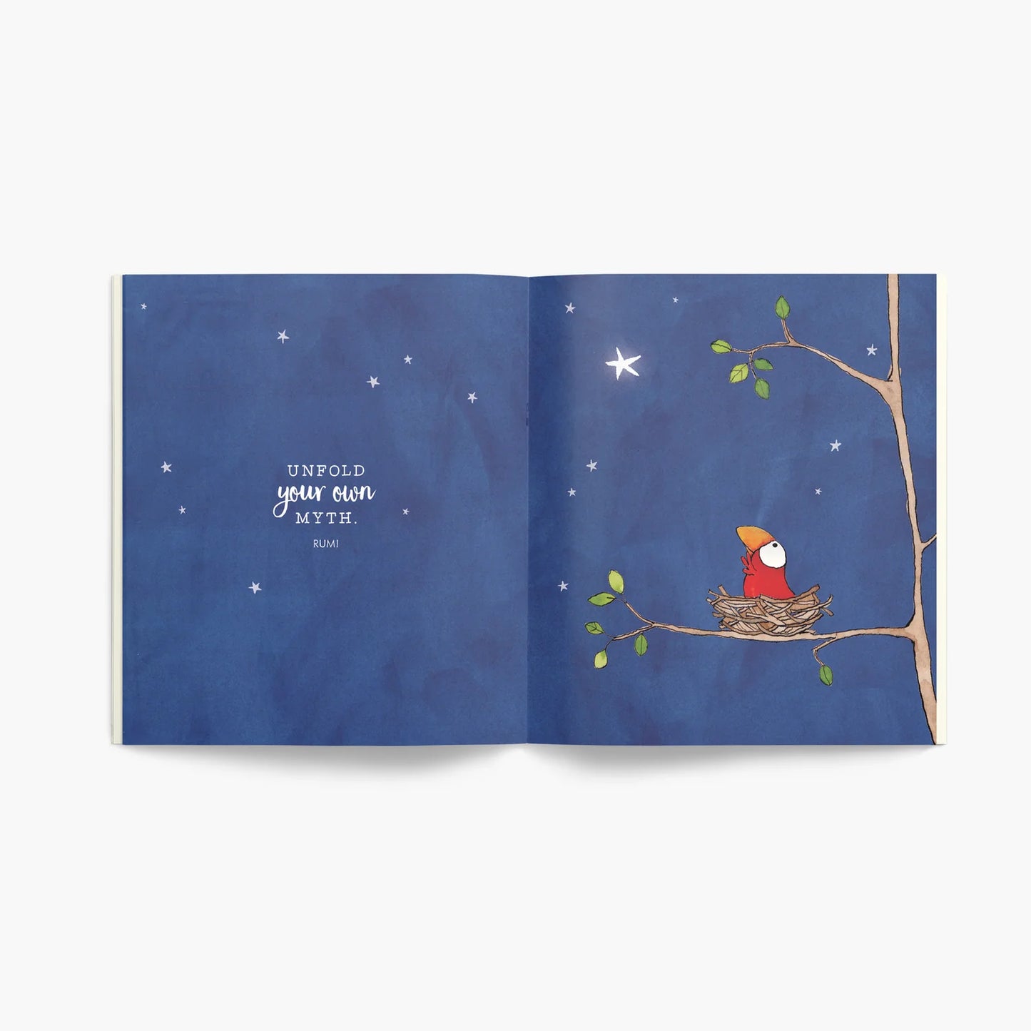 Twigseeds - A Little Book of Stars