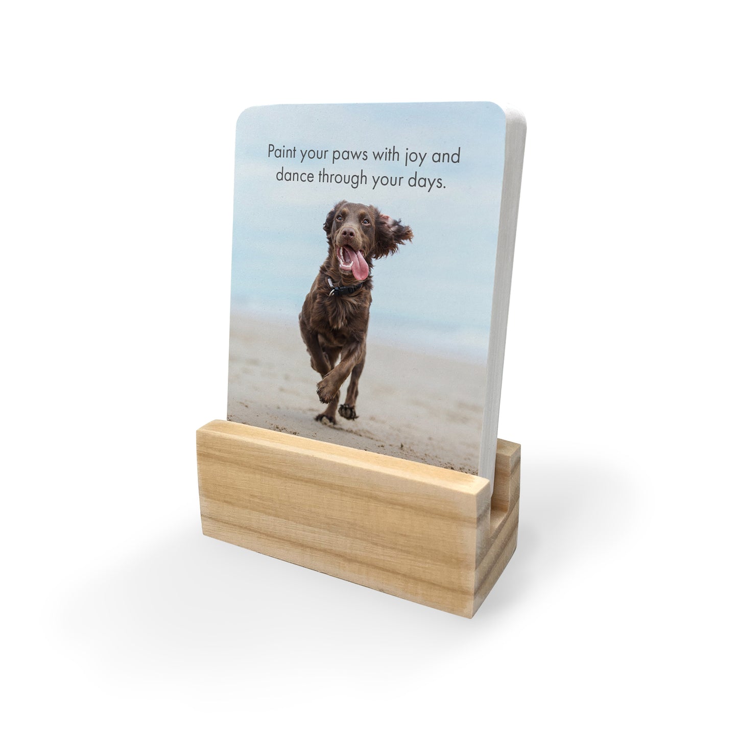 Little Affirmations Cards - Pupparazzi