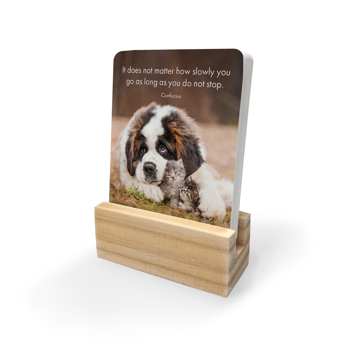 Little Affirmations Cards - Little Paws