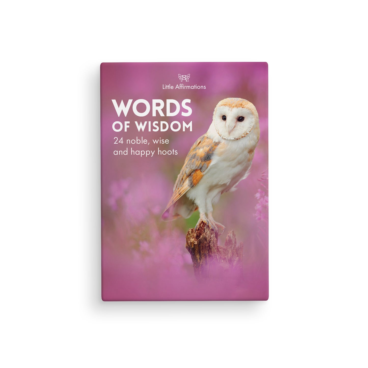 Little Affirmations Cards - Words of Wisdom (Owls)