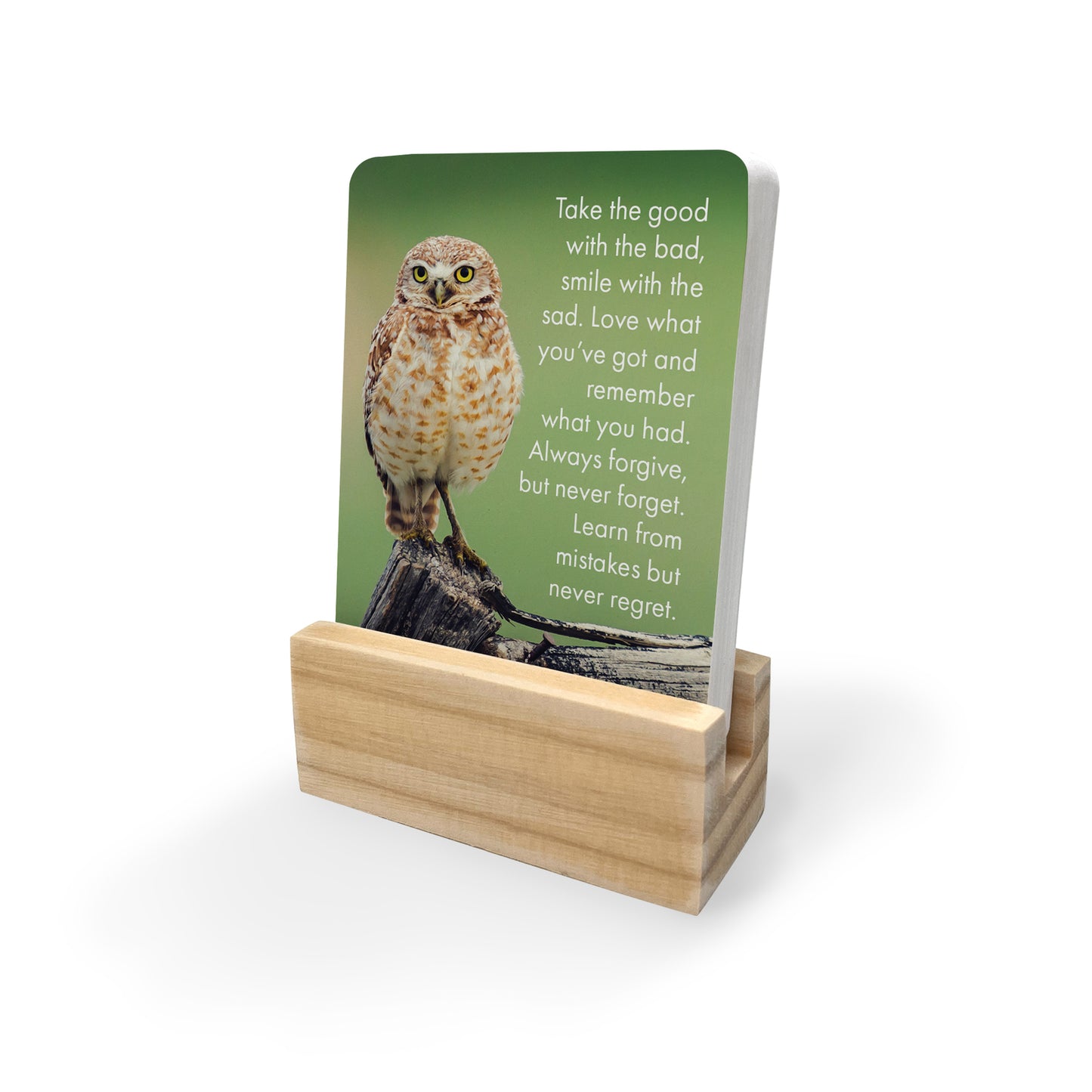 Little Affirmations Cards - Words of Wisdom (Owls)