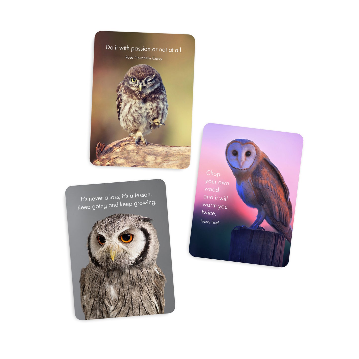 Little Affirmations Cards - Words of Wisdom (Owls)