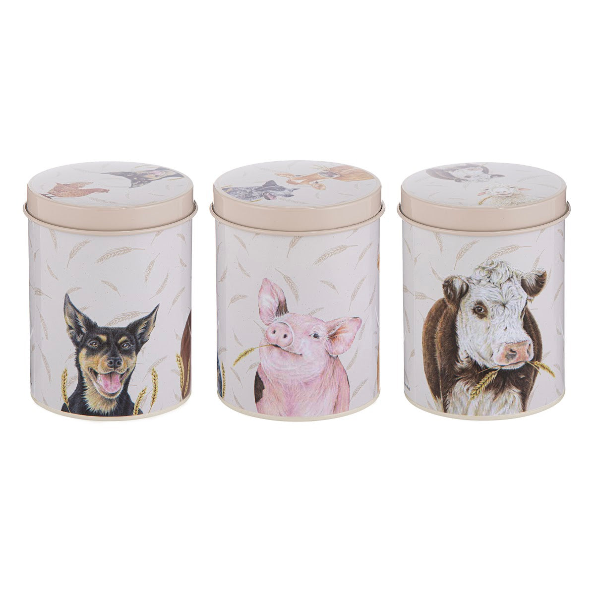 Farmyard Faces - Canisters Set of 3
